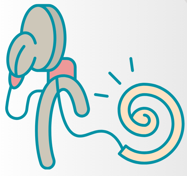 National Online Survey: Should D/deaf adults in the UK be offered one or two cochlear implants?